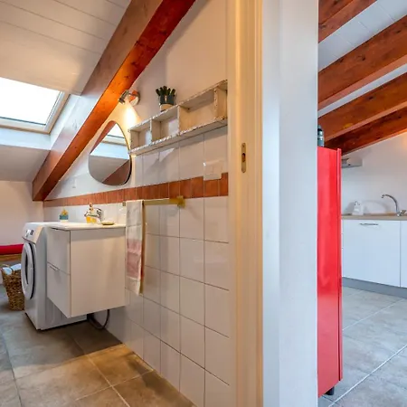 Coralgio 阿尔盖罗