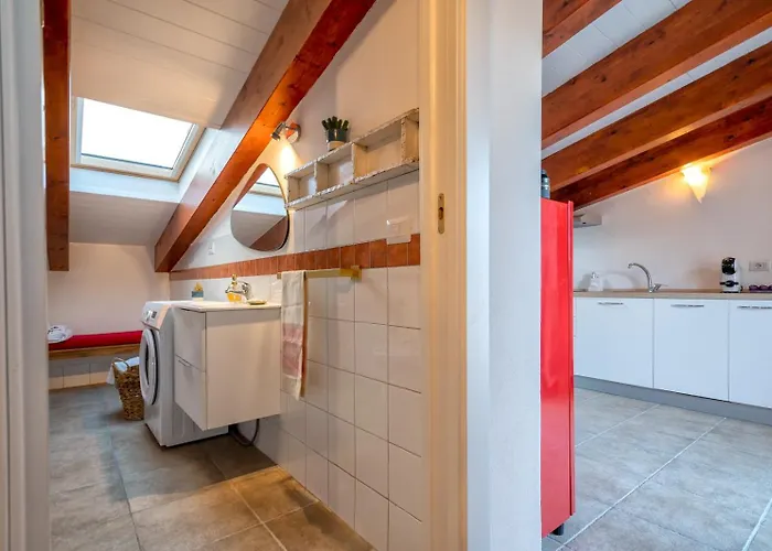 Coralgio 阿尔盖罗